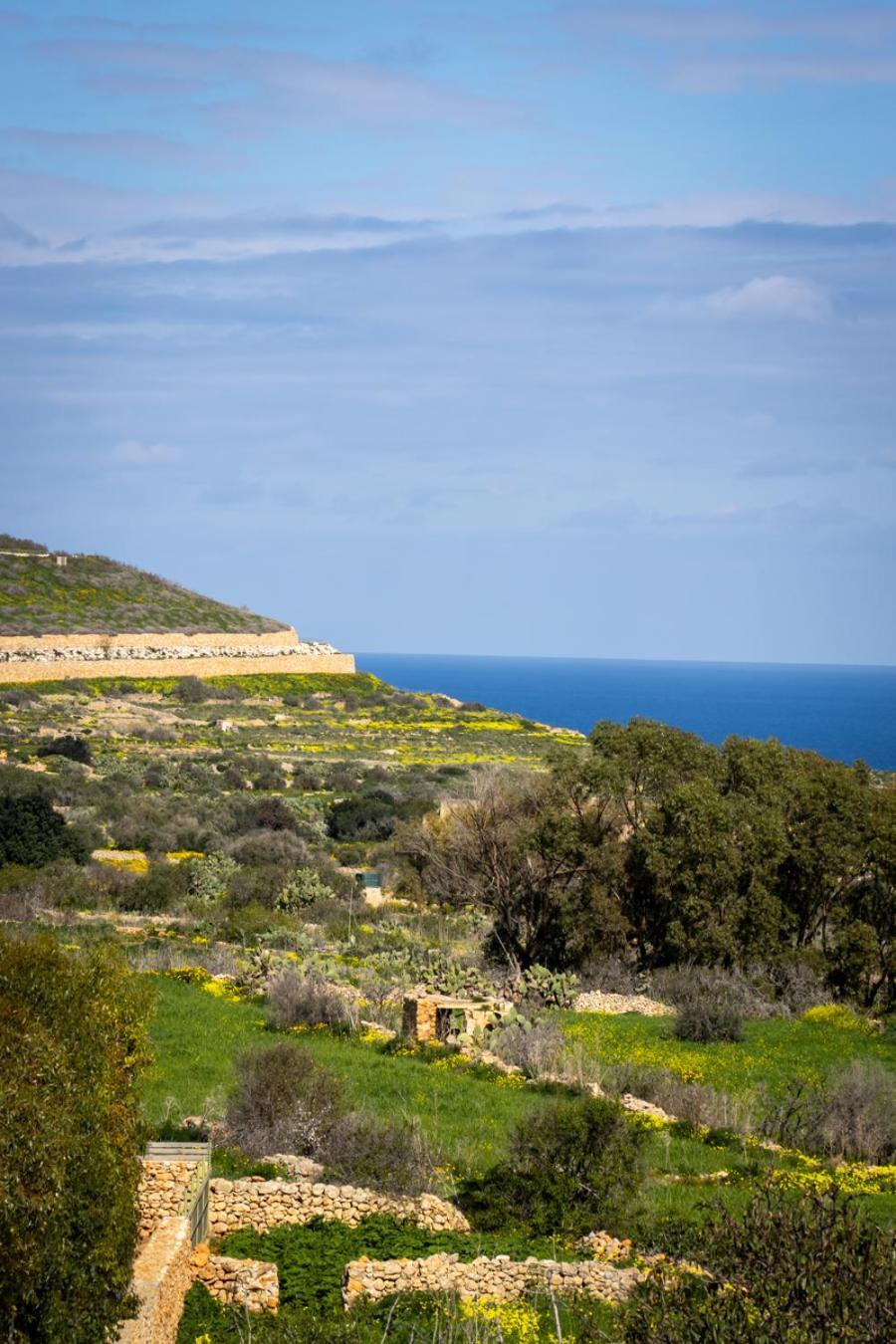 Il Figolla B&B Xagħra Exteriér fotografie
